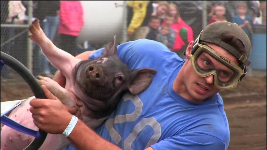 Screenshot Pig'n'Race 2015