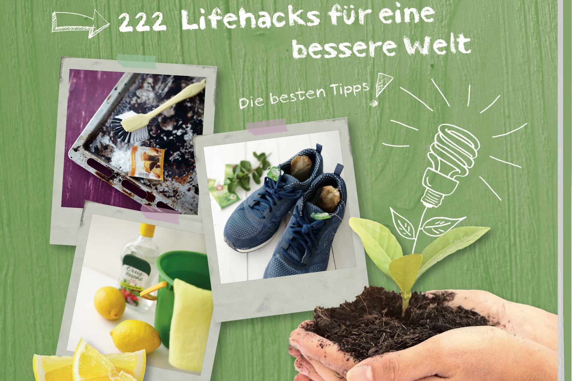 Ausschnitt des Covers vom Buch "Trick 17 – nachhaltig leben"